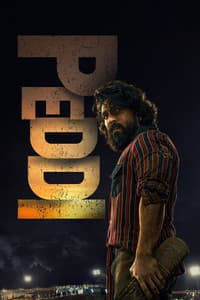 Peddi
